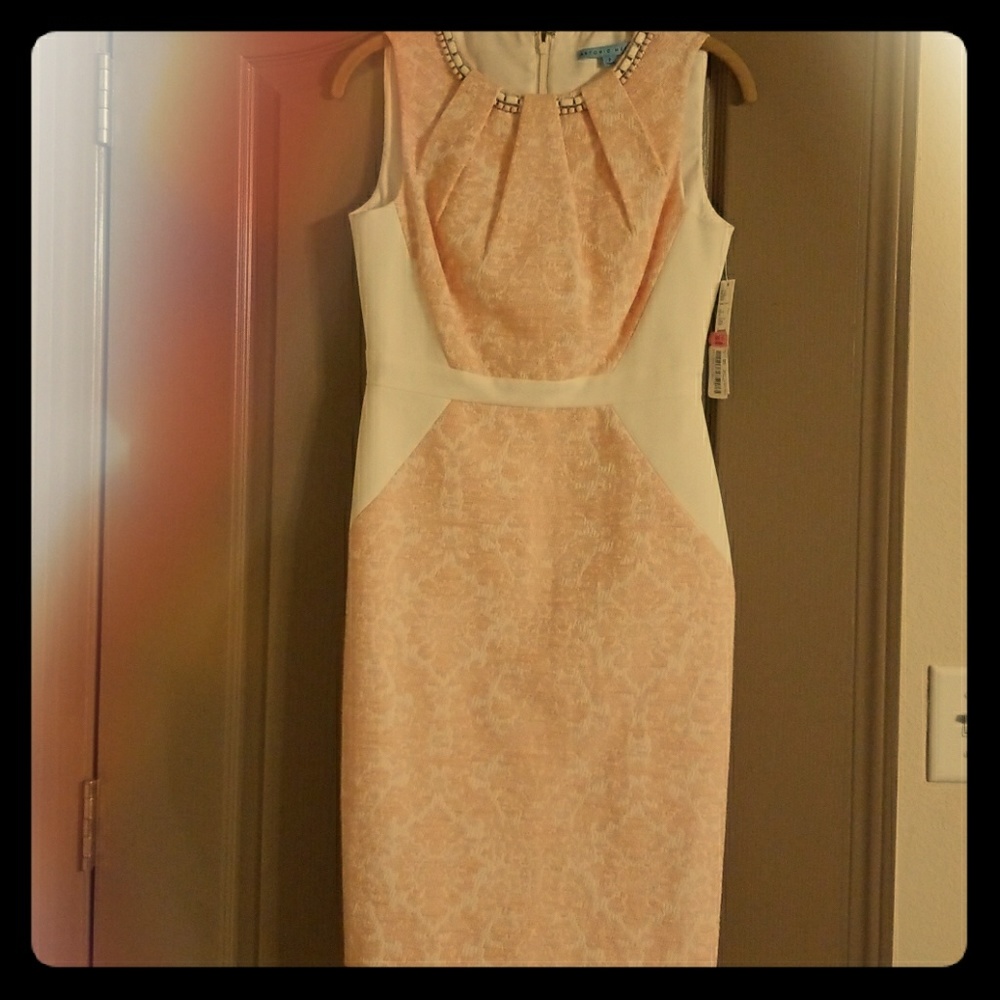 Antonio Melani Dress